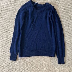 Sparkly blue sweater 